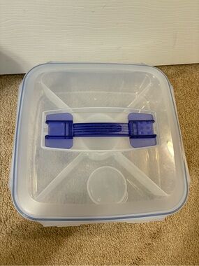 Lock & Lock Clear Plastic Food Storage Container with Blue Latch